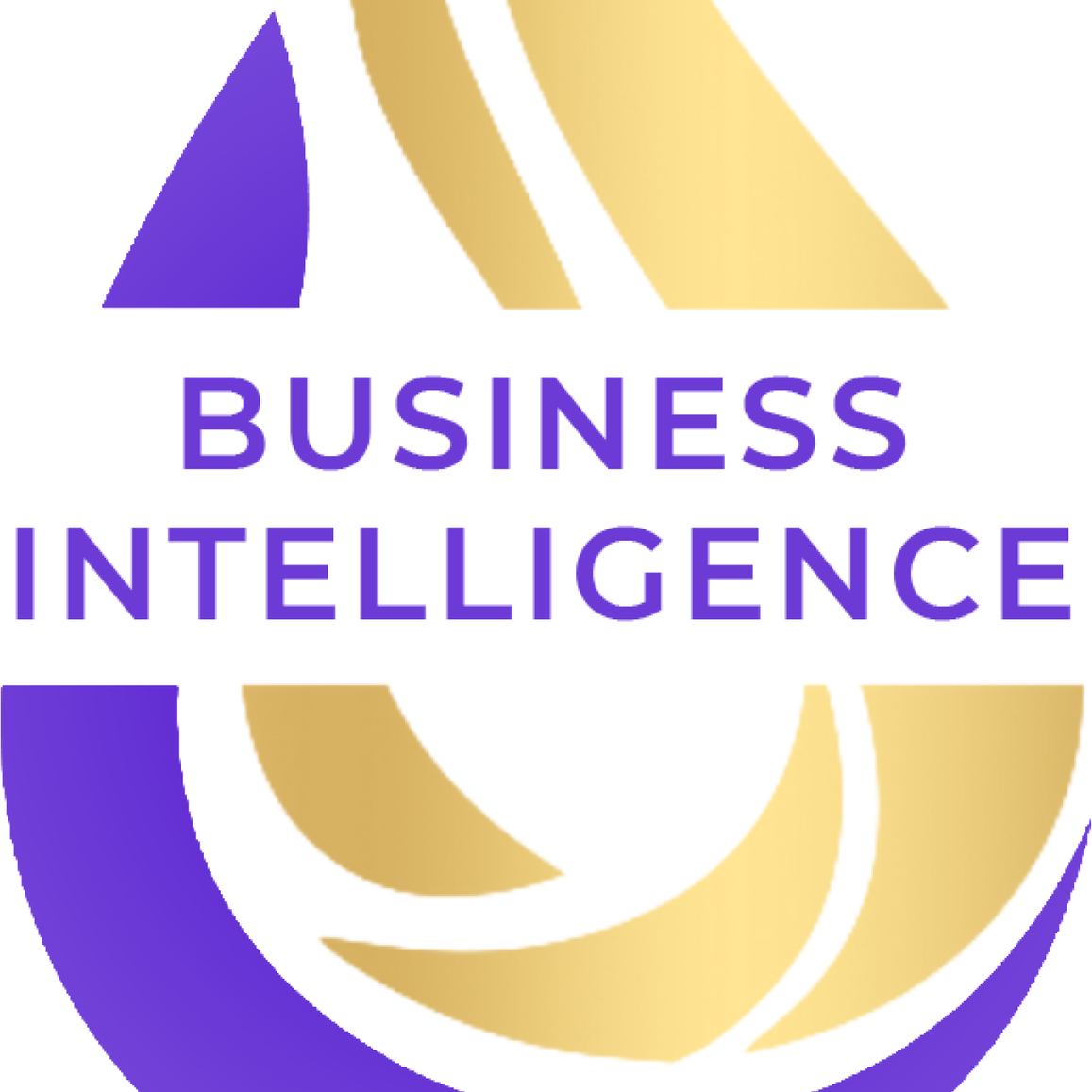 Business intellect