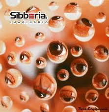 Profile for Sibberia (Pop Rock)