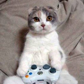 Aoiry Gaming