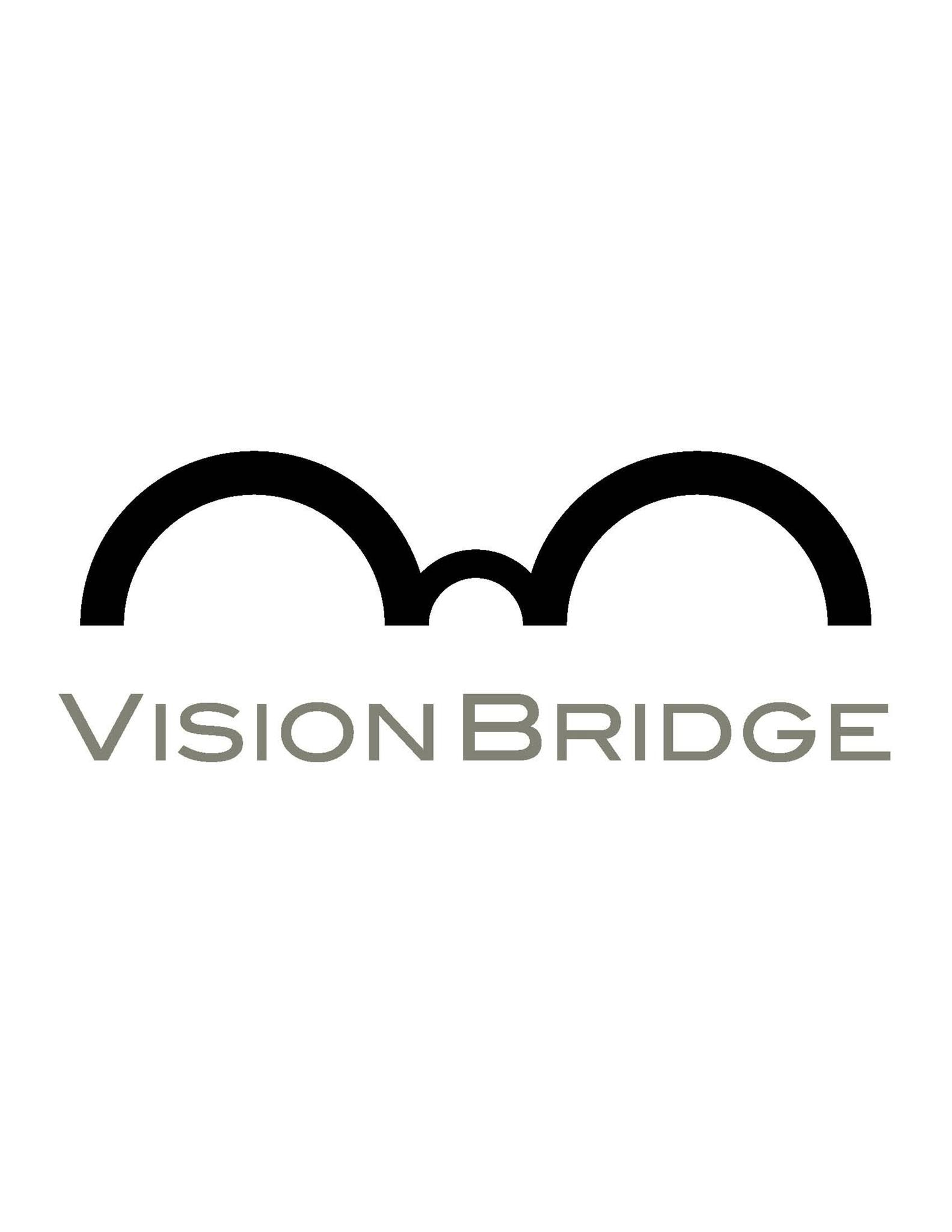 Vision Bridge