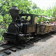 Kauai Steam Trains via Grove Farm Homestead Museum | Lihue HI