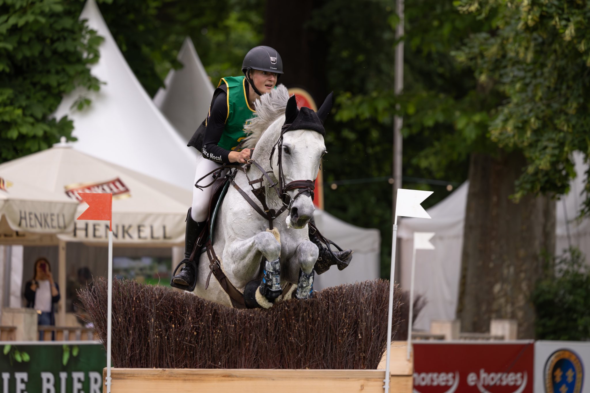 Haras du Roua | Cras-Avernas