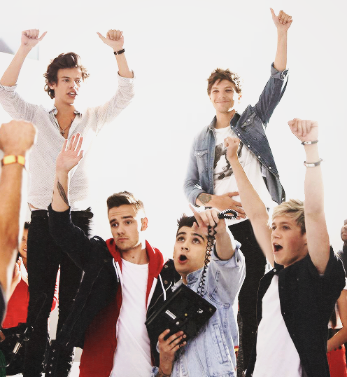 Directioners and lovatics
