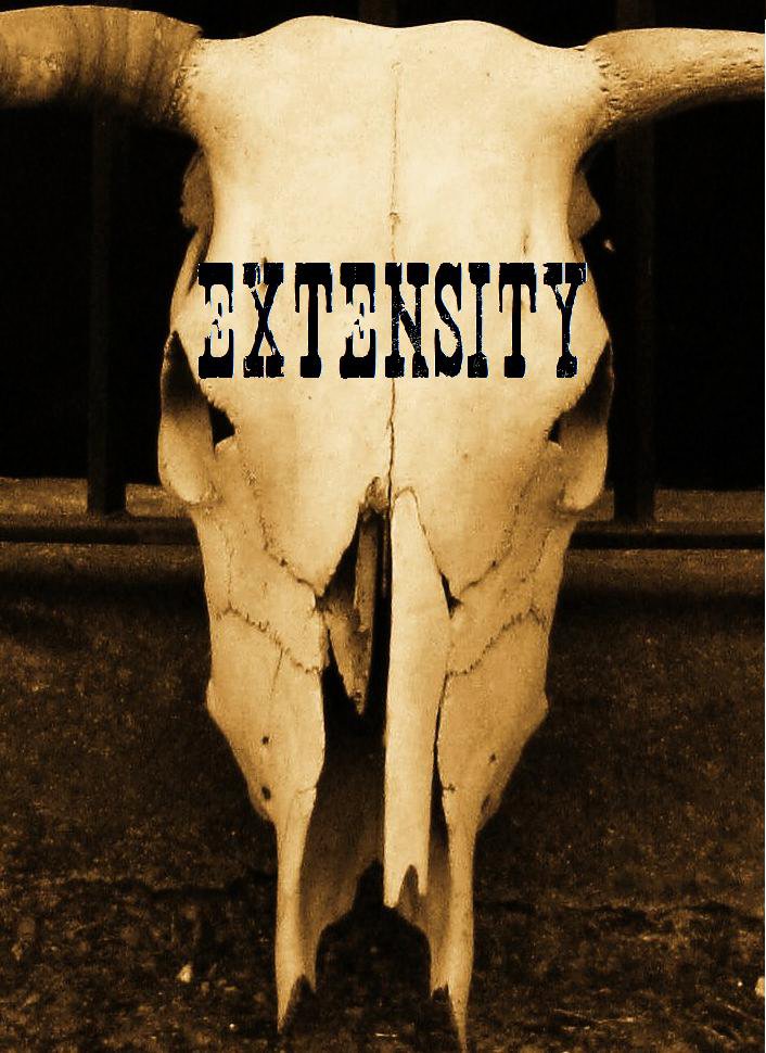 Extensity