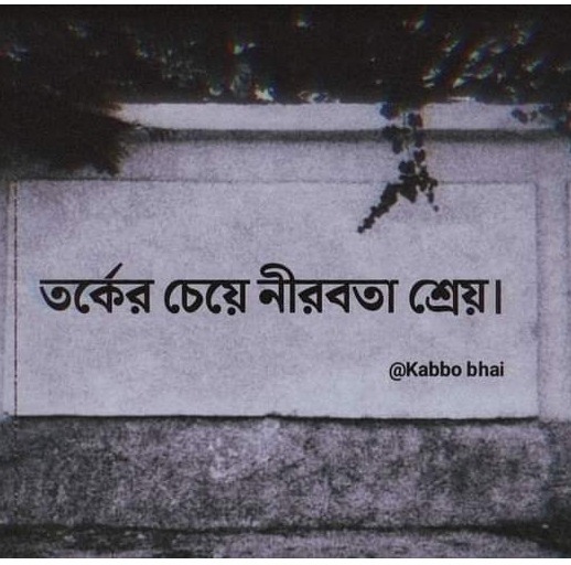 Shamoli Anam