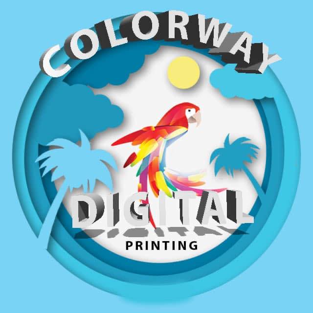 Colorway digital printing | Chicago IL