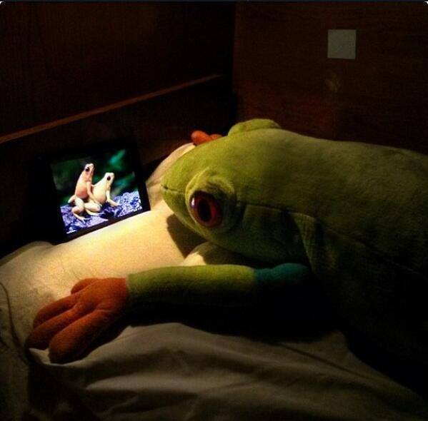 Flo Rida Frog - The Wanted