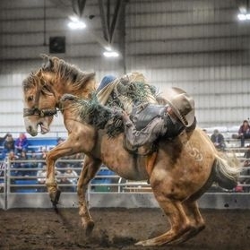 Rimbey Rough Stock Rodeo... - Rimbey Rough Stock Rodeo 2024
