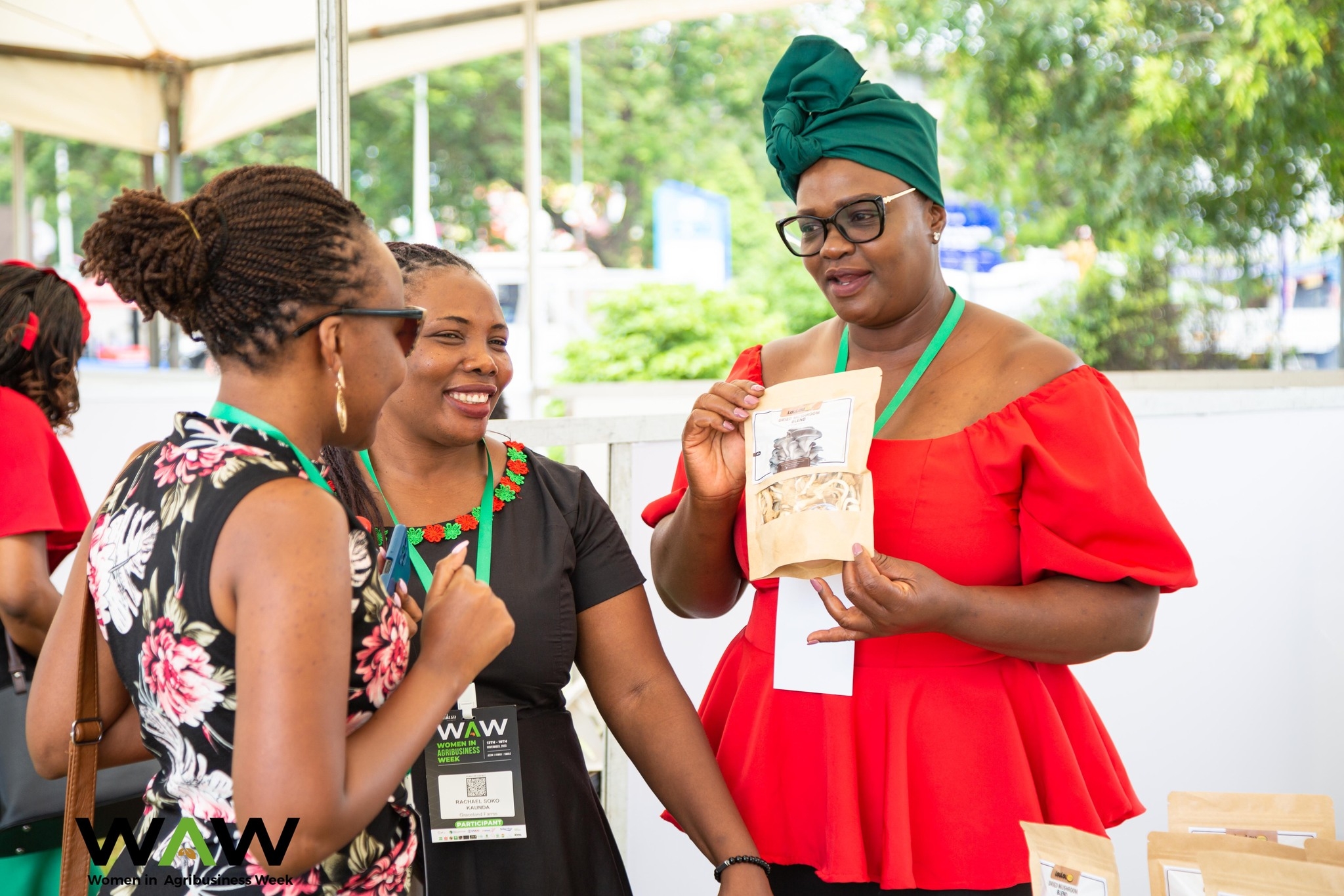 Ignite-African Women in Agribusiness Fellowship - 𝗠𝗲𝗲𝘁 𝘁𝗵𝗲 𝟮𝟬𝟮𝟮 ...
