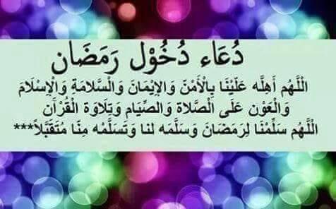 HAMZA .HB.