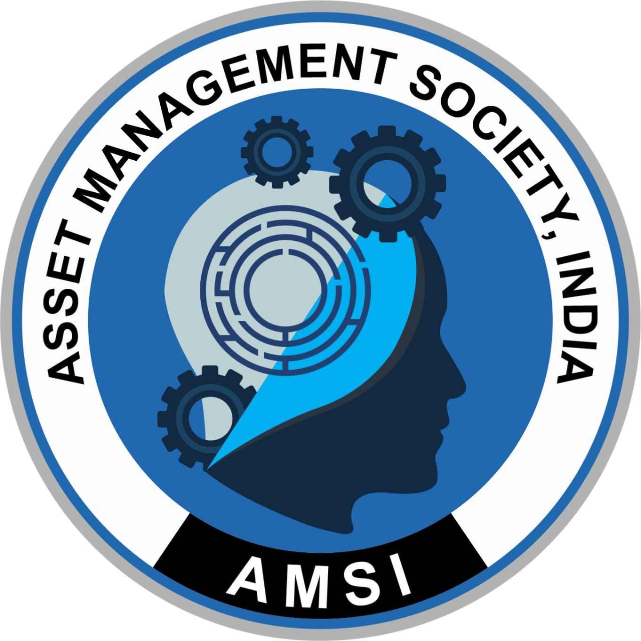 AMSI - Inauguration of One Day Workshop on Leveraging Asset Management ...