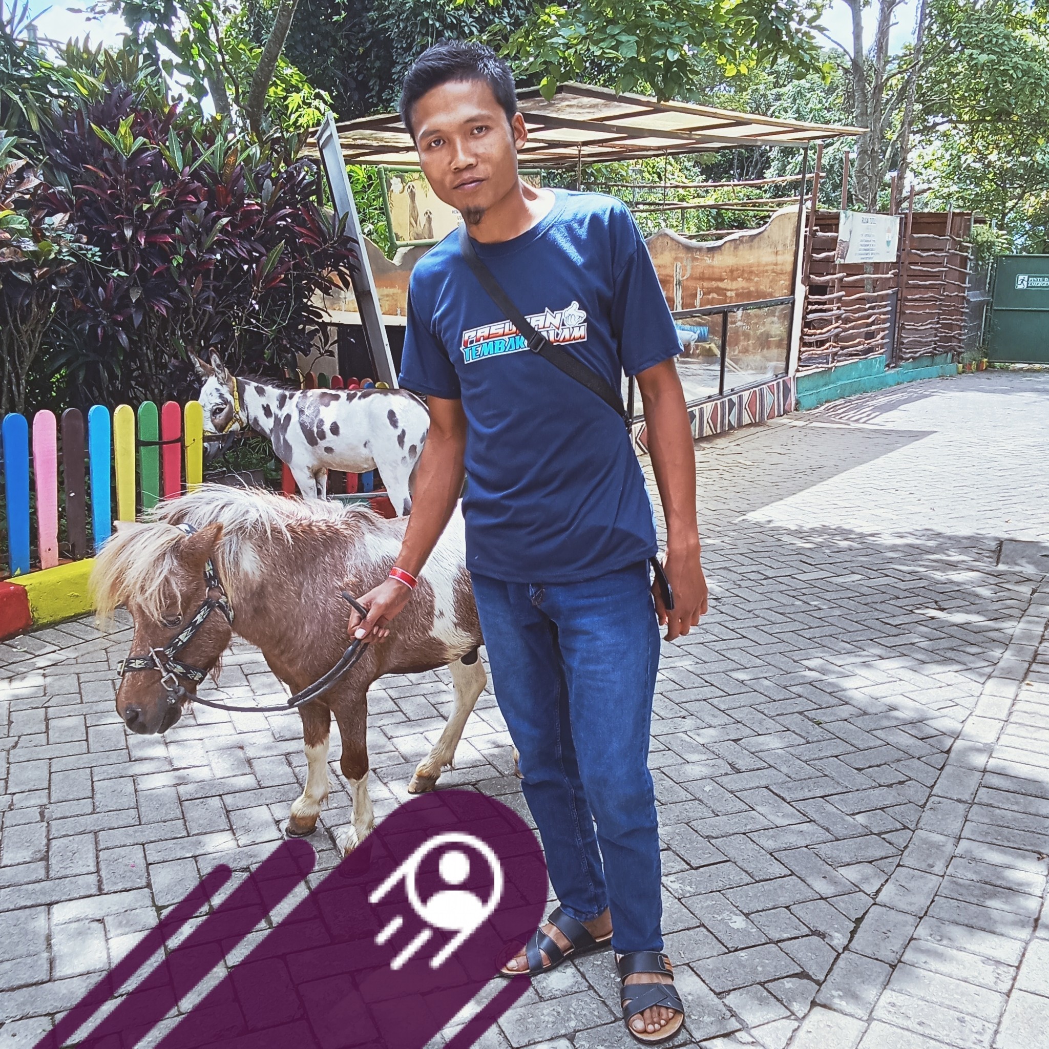 Ariez Radict