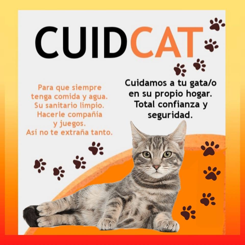 Cuid Cat