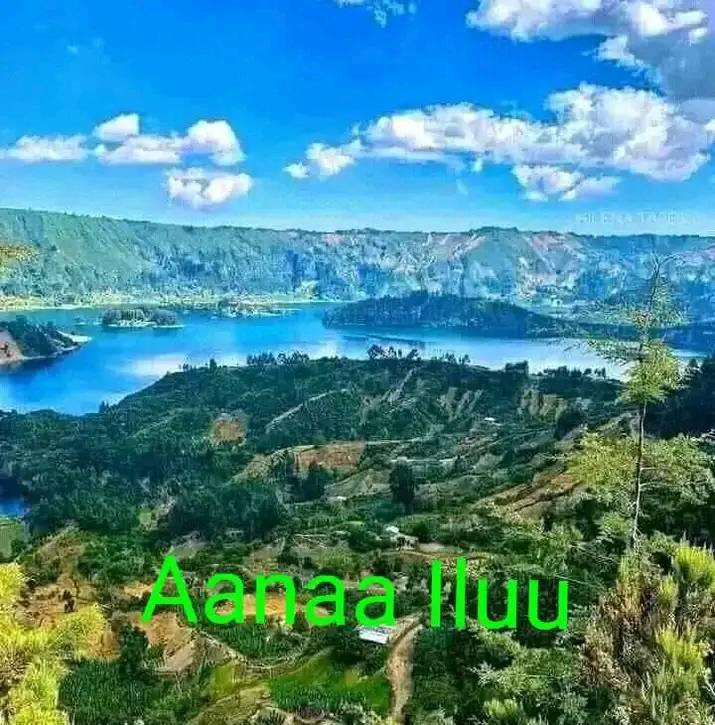 Abera Amena