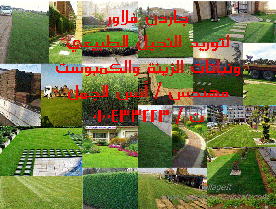 جاردن فلاور للنجيل الطبيعي واعمال الاند سكيب الافضل في مصر