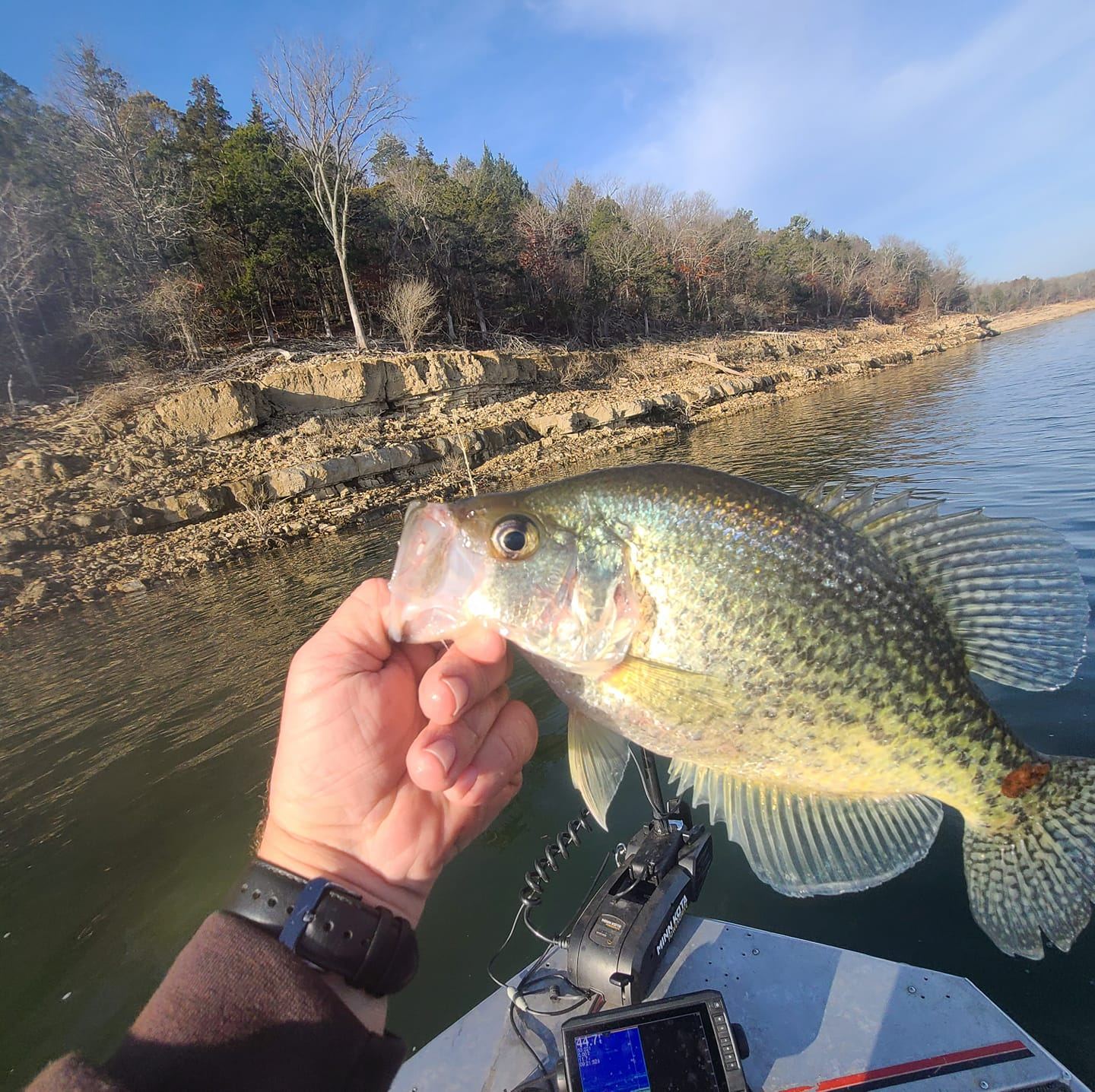Jiggin crappie