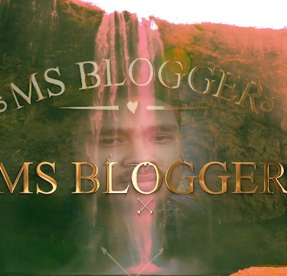 Ms blogger