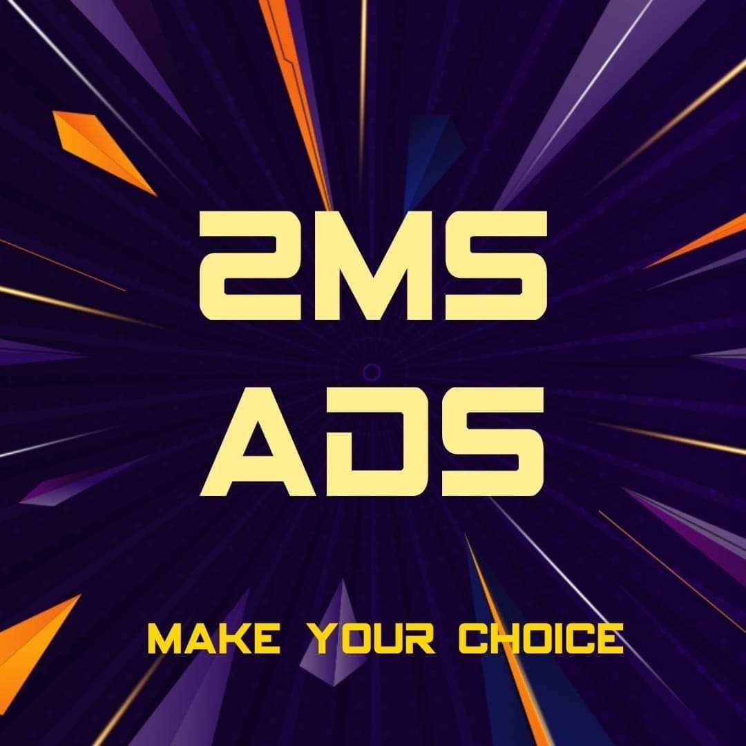 2ms group
