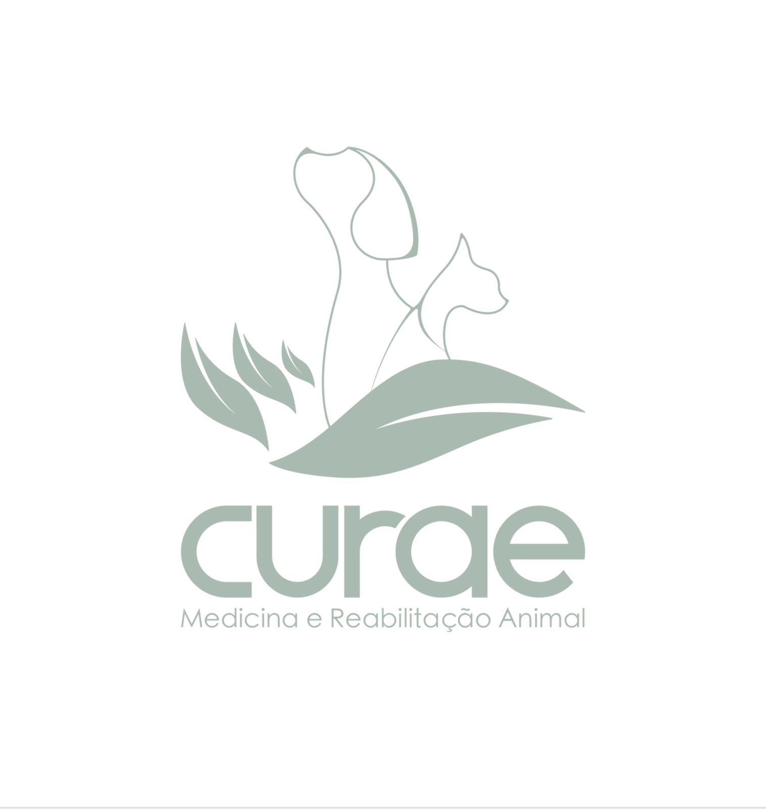 CURAE - Medicina e Reabilitação Animal | Funchal