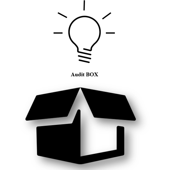 Audit Box
