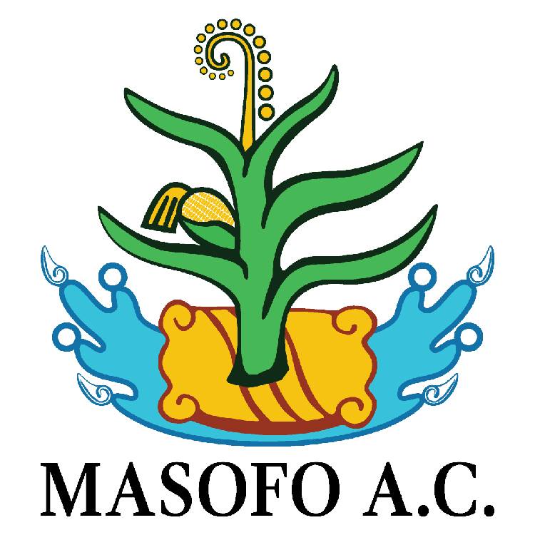 Masofo A.C. | Tecozautla