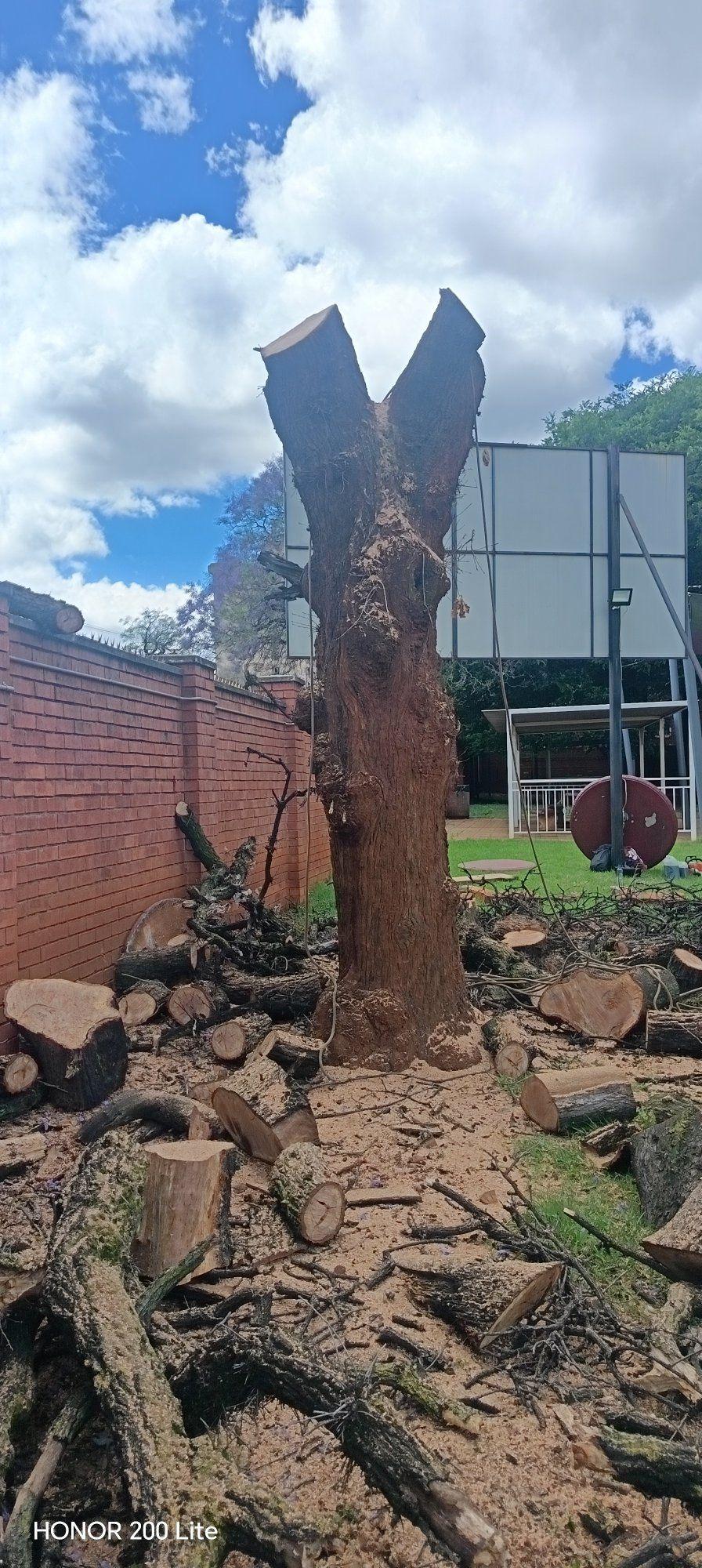ZBC - The Zimbabwe Republic Police has released available photos of ...