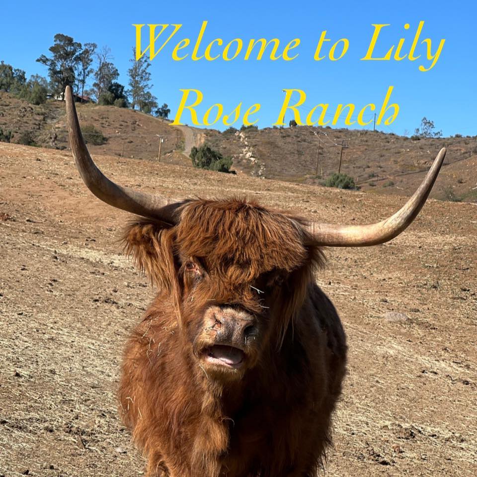 Lily Rose Ranch | Mead Valley CA