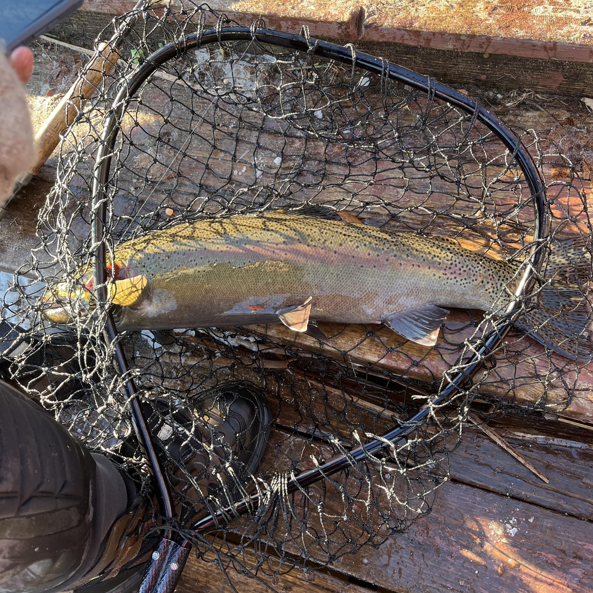 Salmon season 2026 - My first time fishing for salmon. Many fish I didn ...