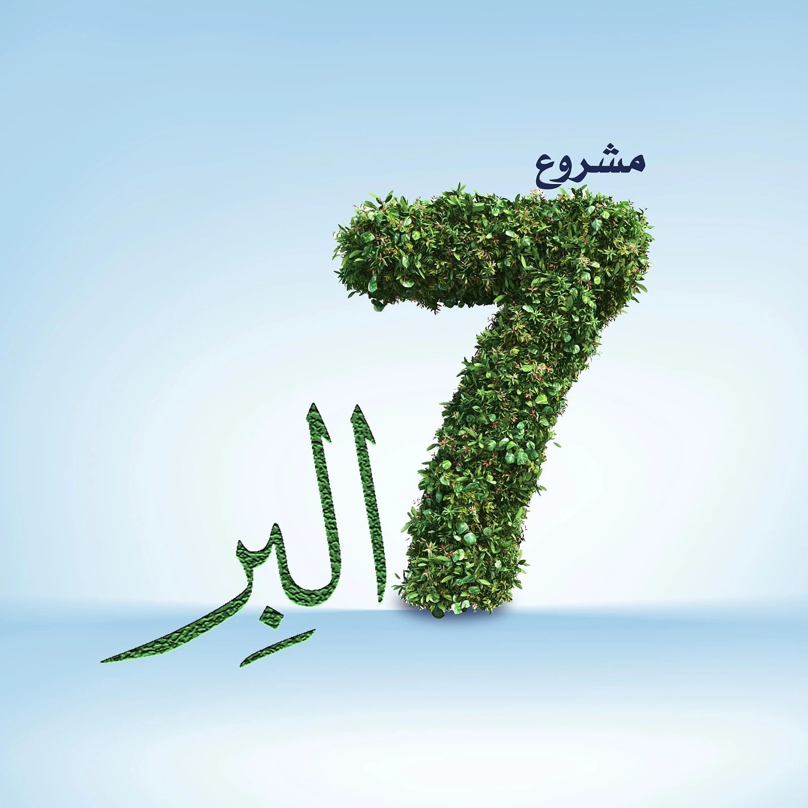 7_albbr