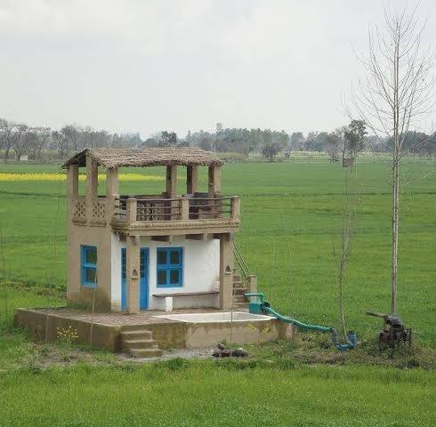 Punjabi Chobara پنجابی چوبارہ