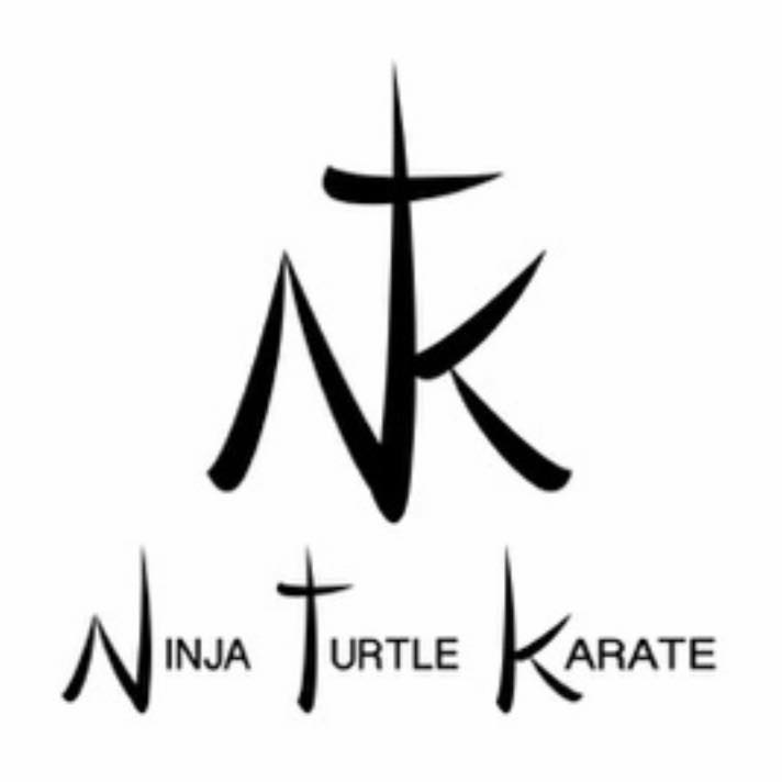 Ninja Turtle Karate | North Plainfield NJ