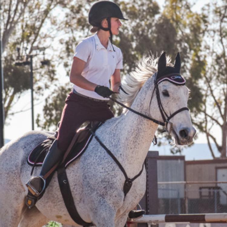Abigail Ruff Equestrian