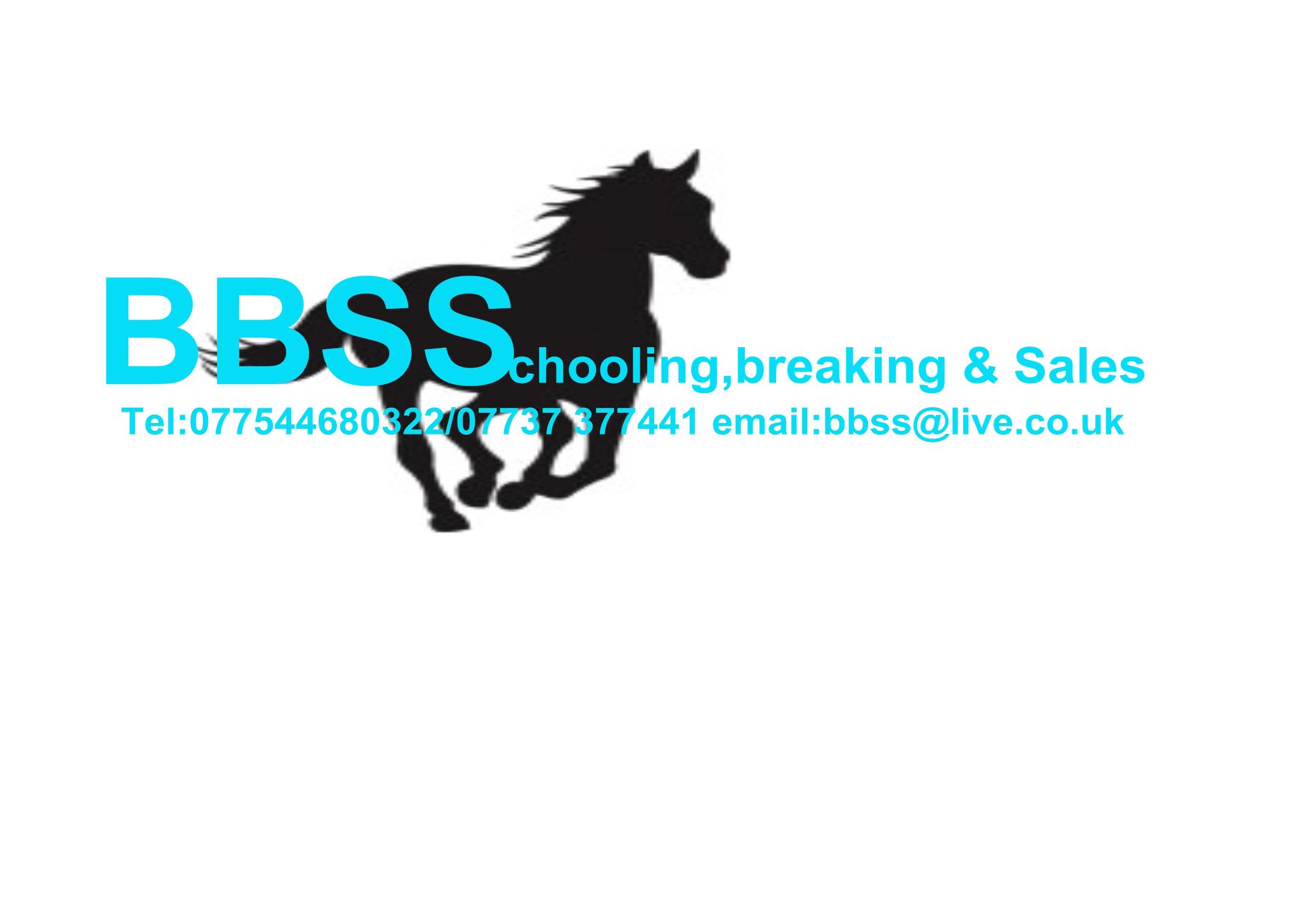 BBSS Schooling Breaking and sales | Kirk Merrington
