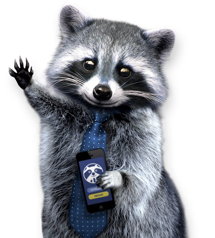 Racoon Media