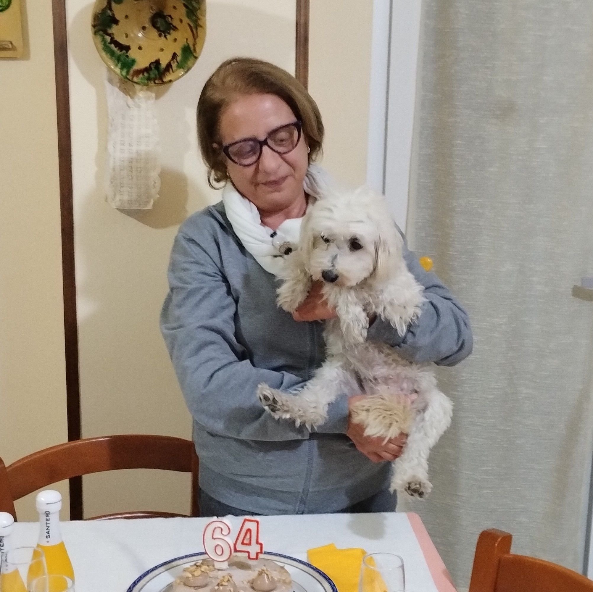 Maria Riccobono Profiles