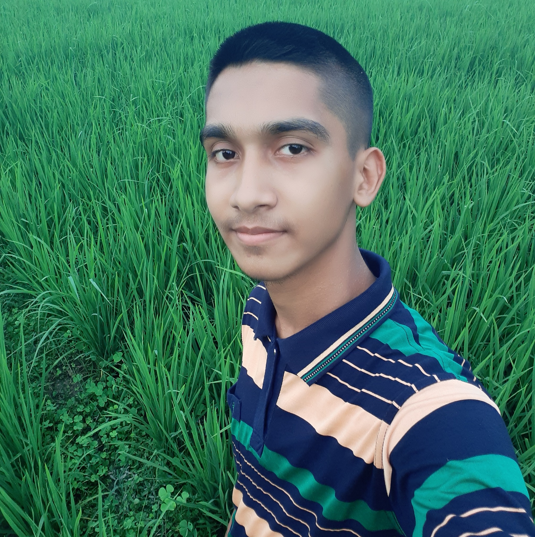 NJ Pollob Hasan