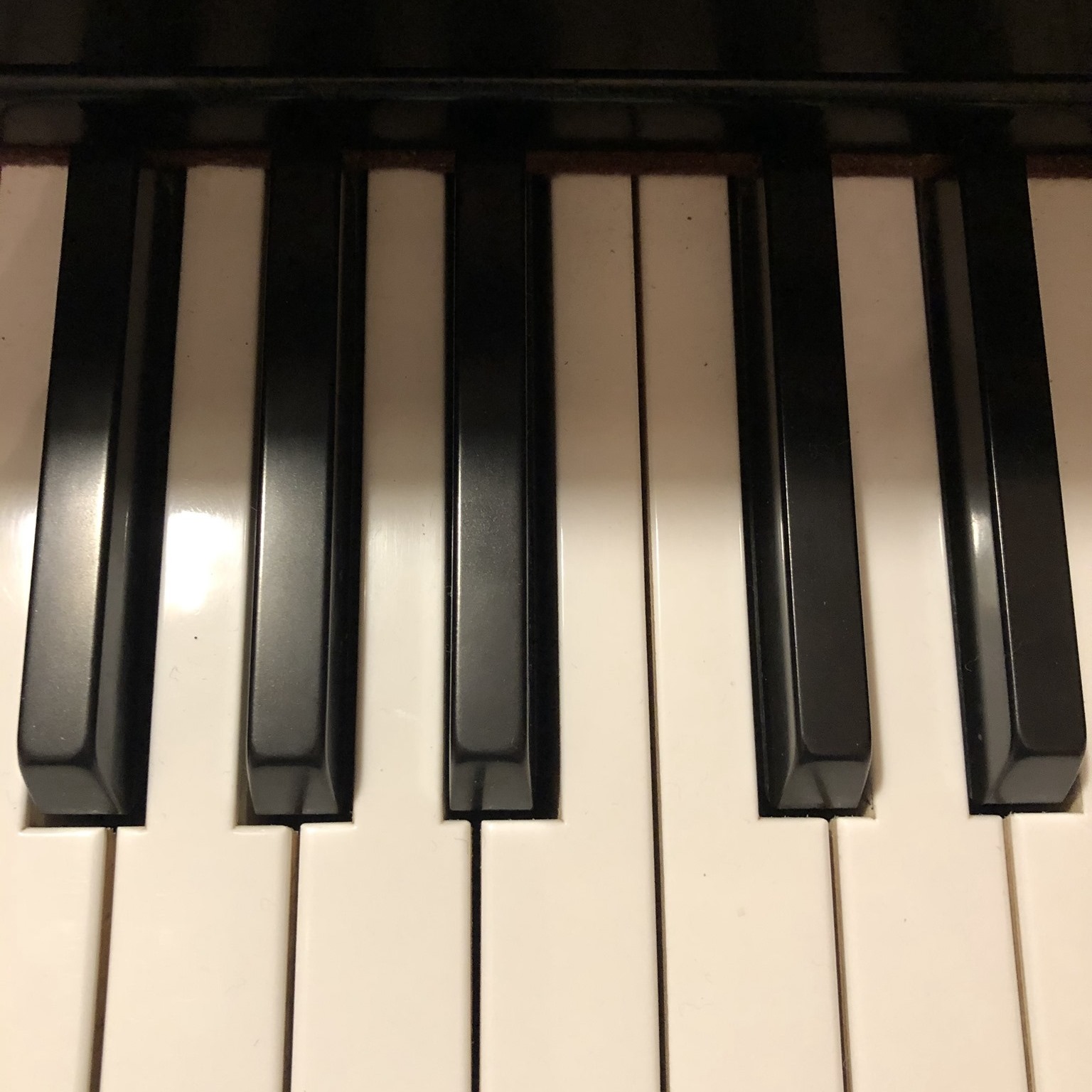 Piano Lessons by Lori Dawkins