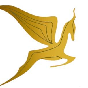 South AfricanFlying Springbok Airways | Kempton Park