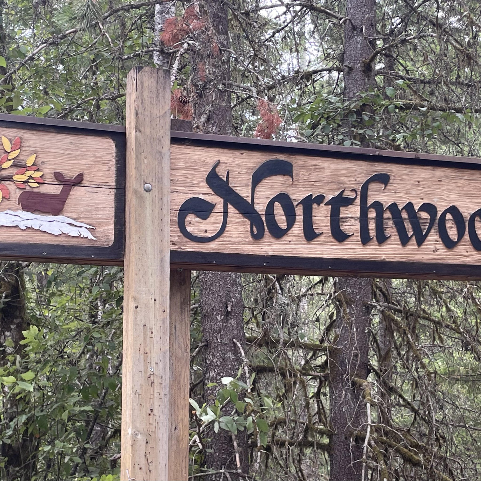 Lake Merwin Water Level Updates and Boat Ramp Closures