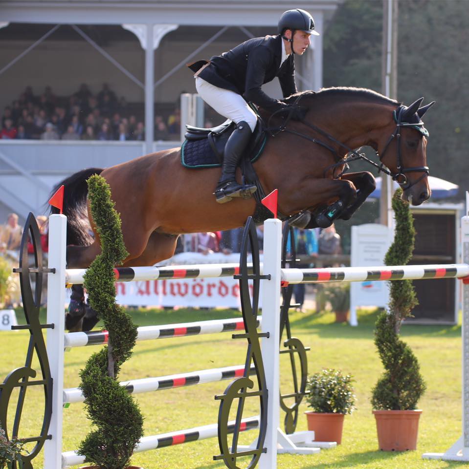 Christian Riedinger Sporthorses & Osteopathie