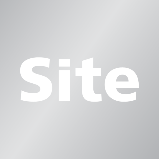 site-group-international-limited