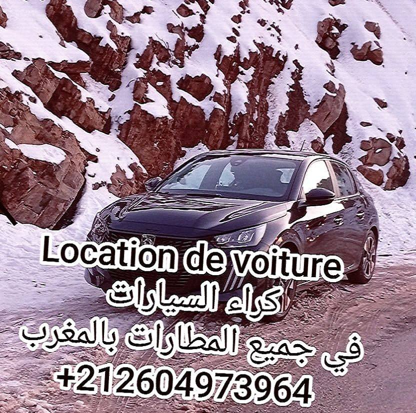 تأجير السيارات