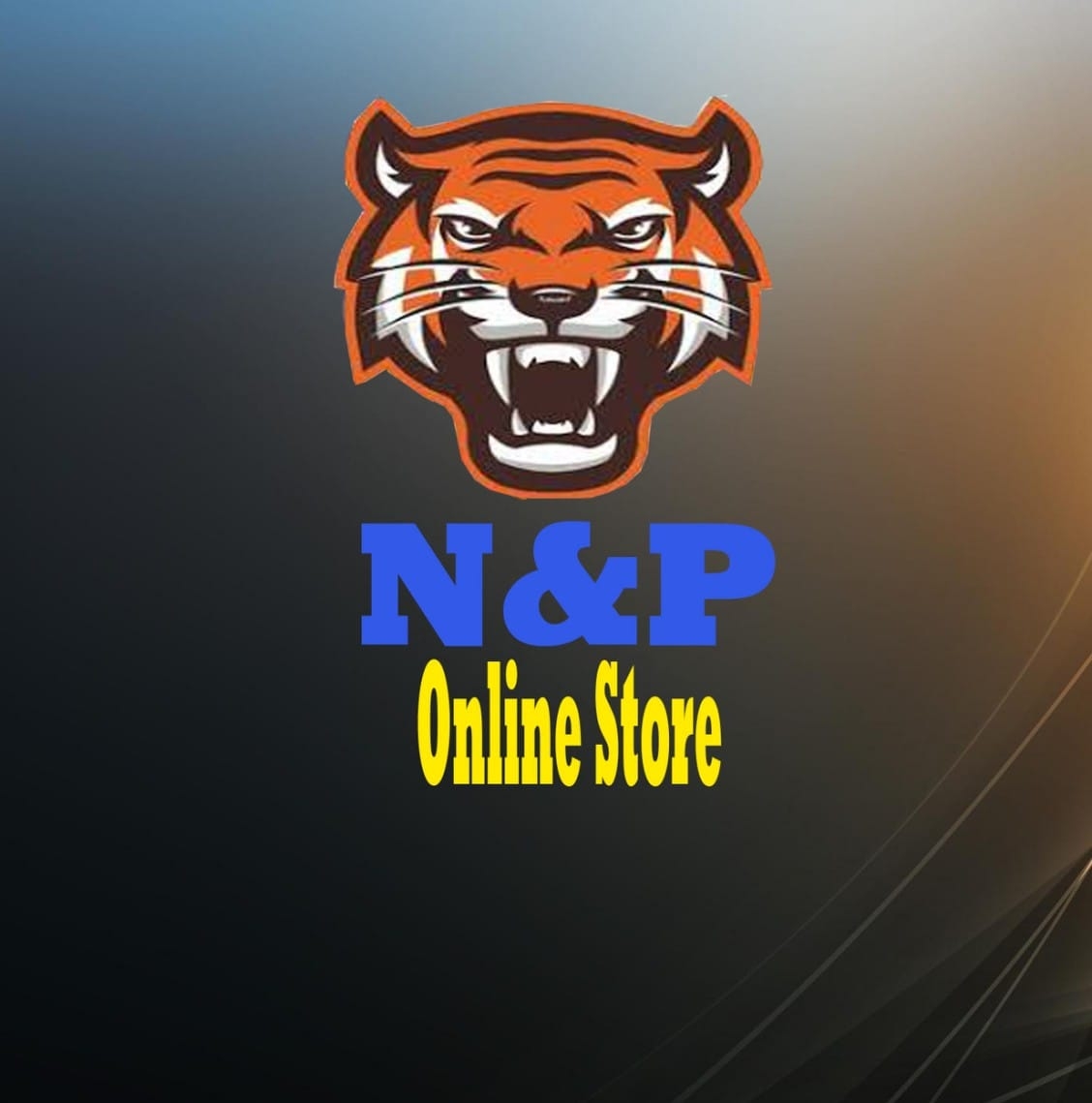 N&P Online store