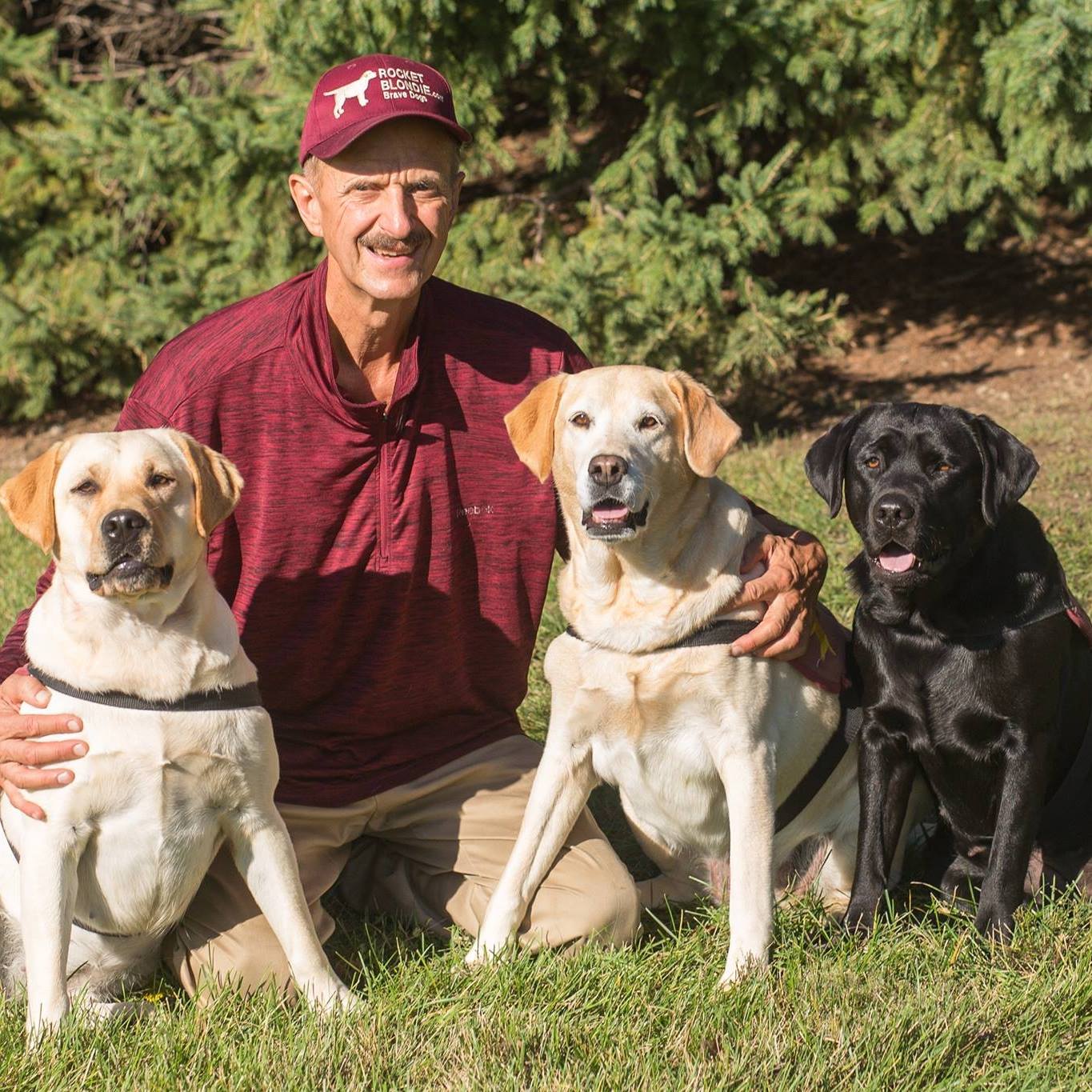 Rover Service Dogs