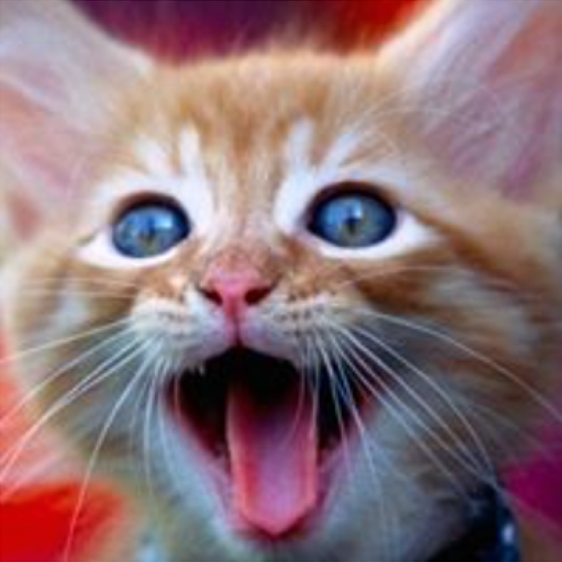 Torok Coupon Hunters Group 💗👜 | 😍Adorable!!! It opens up and has cute ...
