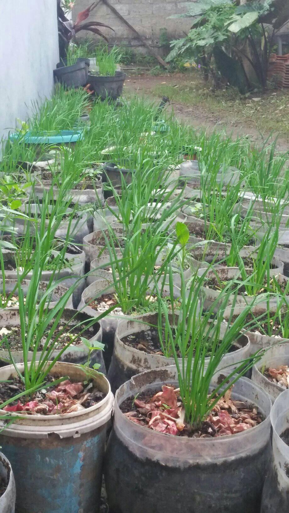 Part6. Penyihir tertinggi turun tagan #fyp #reels #jangkauanluas # ...