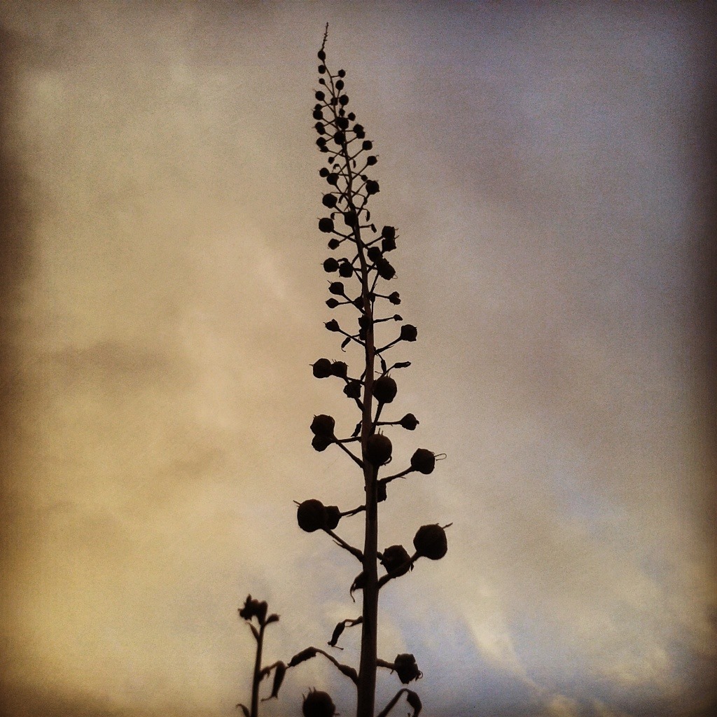 Natures' Way