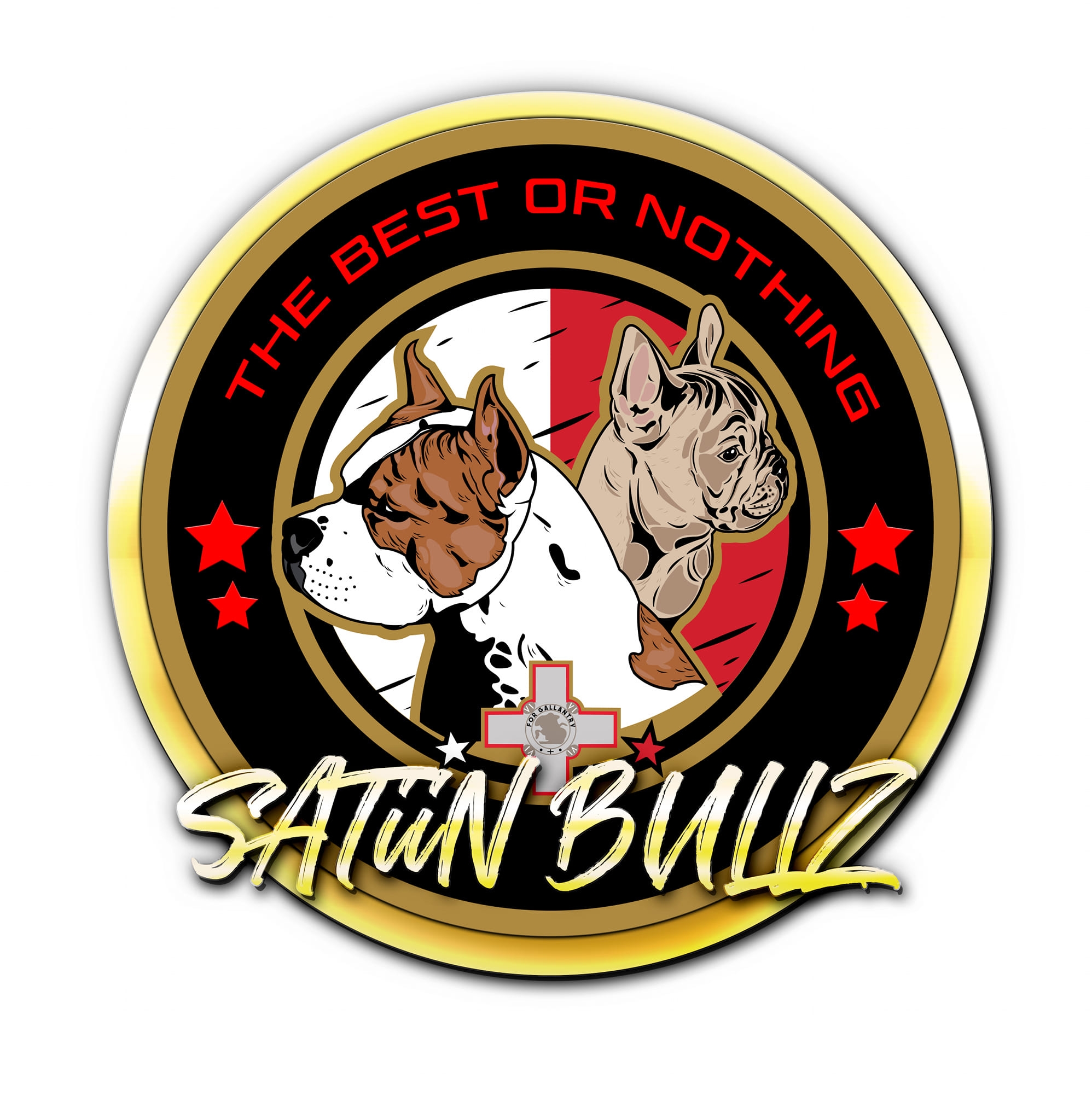SATiiN BULLZ