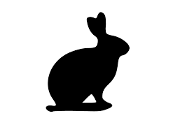 Campo do Coelho, RJ - Rabbit Field