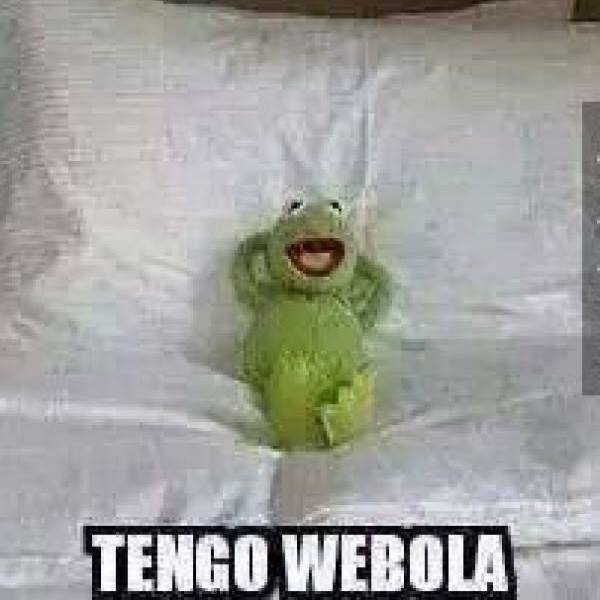 Memes de la rana rene.